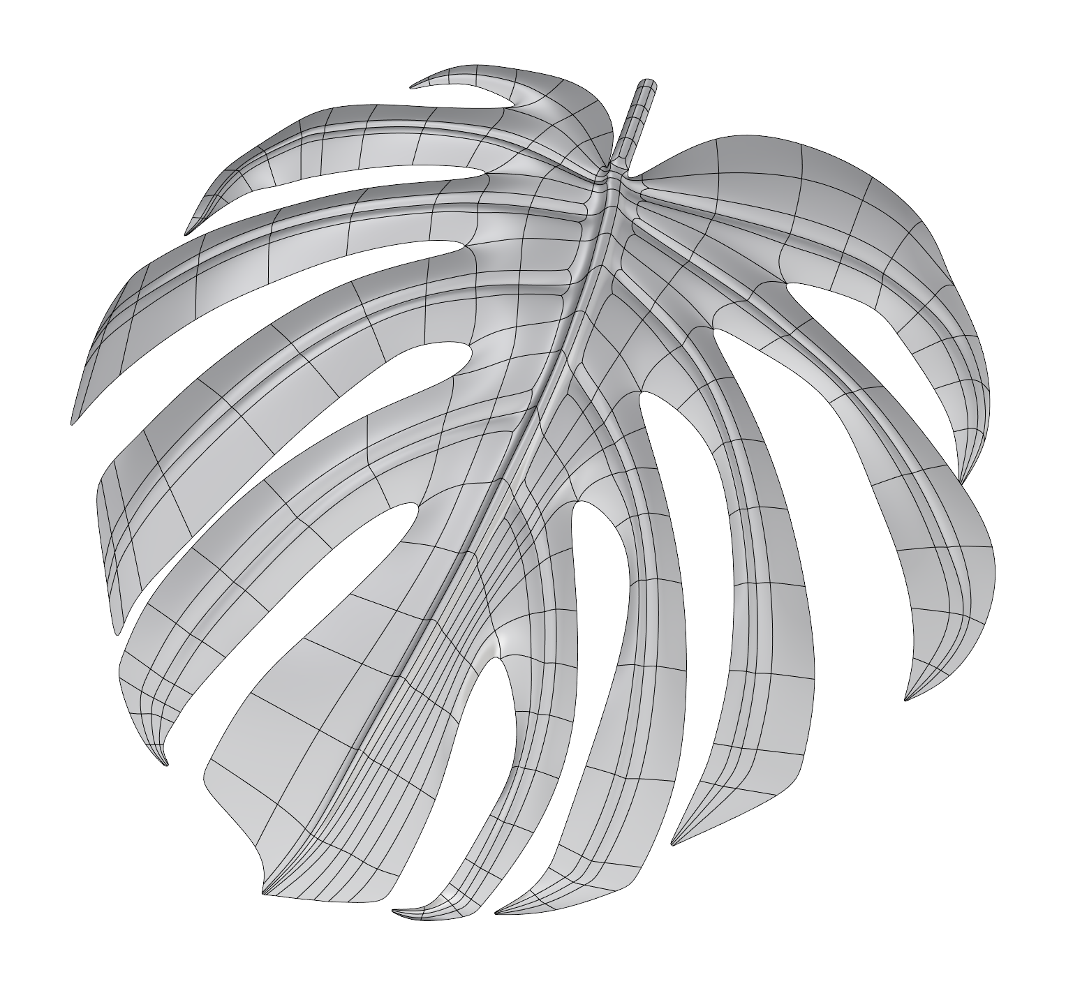 Anello a forma di foglia (monstera), vista con isocurve